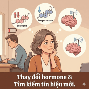 Bạn Rung Động Với Người Khác (Không Phải Chồng) – Thay đổi hormone tuổi trung niên